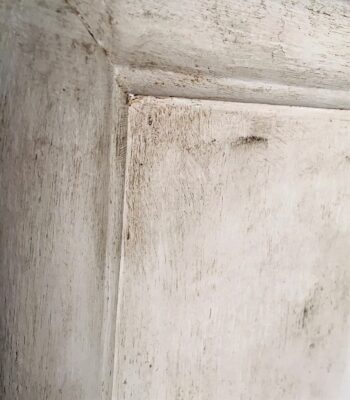 hh_barna_wax_4 hh_barna_wax_4